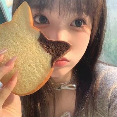 小马的山村日记